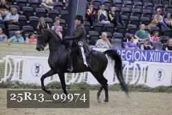 25R13_09974 thumbnail
