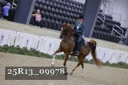 25R13_09978 thumbnail