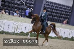 25R13_09979 thumbnail