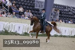 25R13_09980 thumbnail
