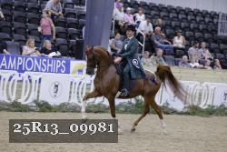 25R13_09981 thumbnail