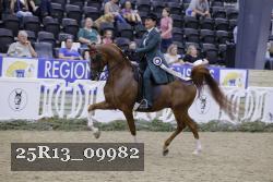 25R13_09982 thumbnail