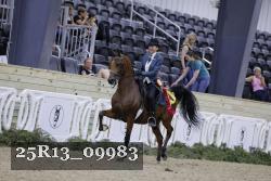 25R13_09983 thumbnail
