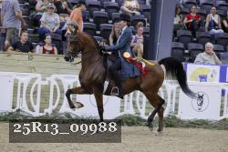 25R13_09988 thumbnail