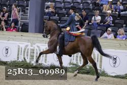 25R13_09989 thumbnail