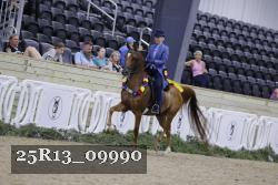 25R13_09990 thumbnail