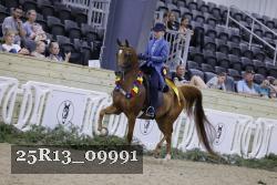 25R13_09991 thumbnail