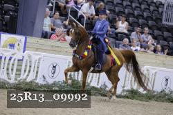 25R13_09992 thumbnail