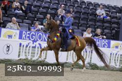 25R13_09993 thumbnail