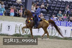 25R13_09994 thumbnail