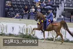 25R13_09995 thumbnail