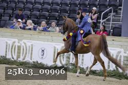 25R13_09996 thumbnail