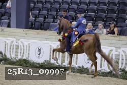 25R13_09997 thumbnail