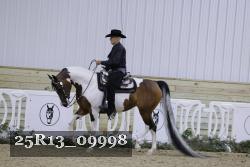 25R13_09998 thumbnail