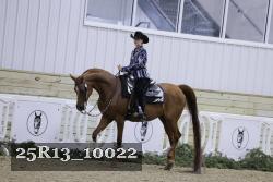 25R13_10022 thumbnail