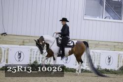 25R13_10026 thumbnail