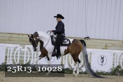 25R13_10028 thumbnail