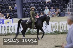 25R13_10034 thumbnail
