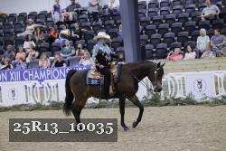 25R13_10035 thumbnail