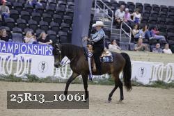 25R13_10061 thumbnail