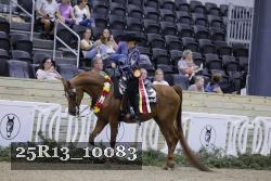 25R13_10083 thumbnail