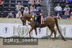 25R13_10088 thumbnail