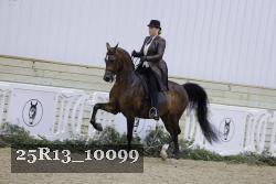 25R13_10099 thumbnail