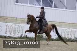 25R13_10100 thumbnail