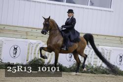 25R13_10101 thumbnail