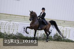 25R13_10103 thumbnail