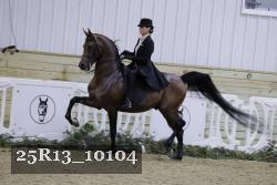 25R13_10104 thumbnail