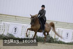 25R13_10108 thumbnail