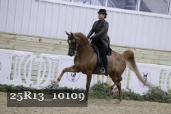 25R13_10109 thumbnail