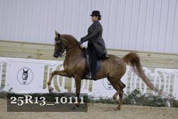 25R13_10111 thumbnail