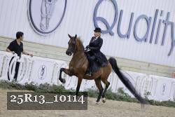 25R13_10114 thumbnail