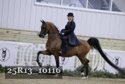 25R13_10116 thumbnail