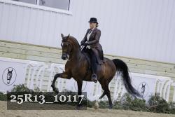 25R13_10117 thumbnail