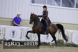 25R13_10118 thumbnail