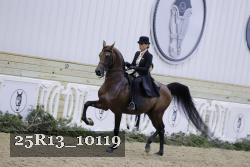 25R13_10119 thumbnail