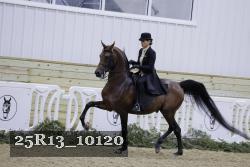 25R13_10120 thumbnail