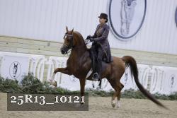 25R13_10121 thumbnail