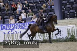 25R13_10124 thumbnail