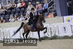 25R13_10125 thumbnail
