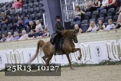 25R13_10127 thumbnail