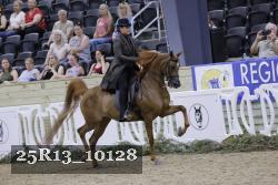 25R13_10128 thumbnail