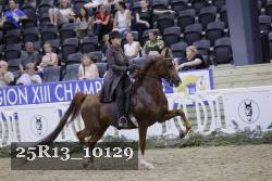 25R13_10129 thumbnail