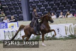 25R13_10130 thumbnail