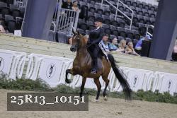 25R13_10151 thumbnail
