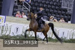 25R13_10152 thumbnail