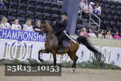 25R13_10153 thumbnail